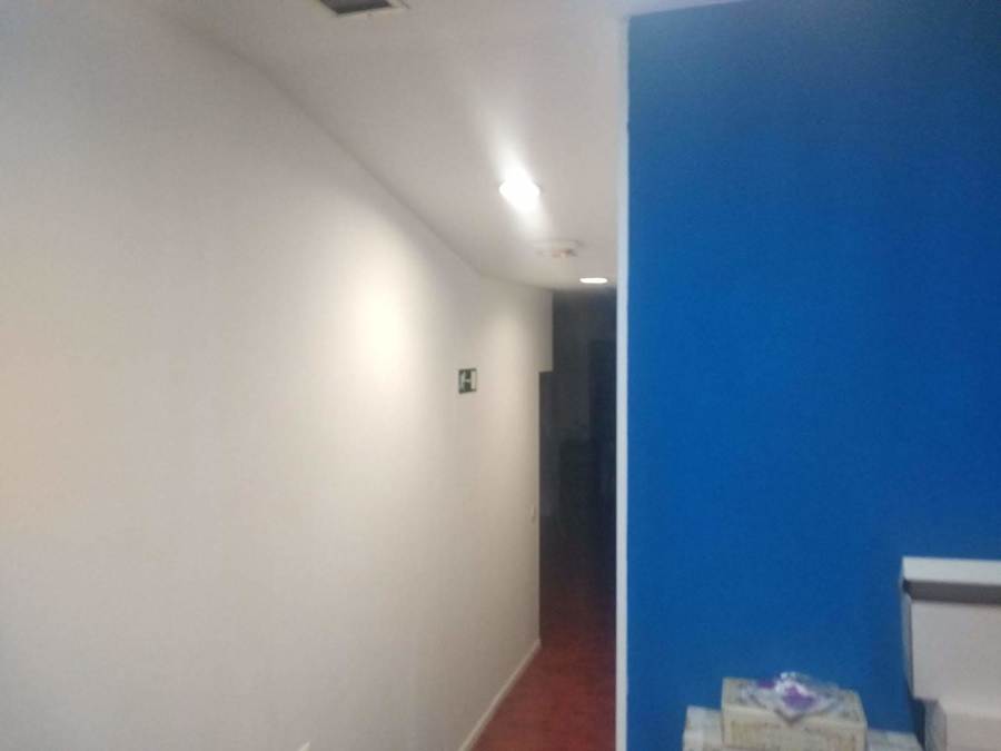 Pintura de un de un departamento del local en Azul electrico