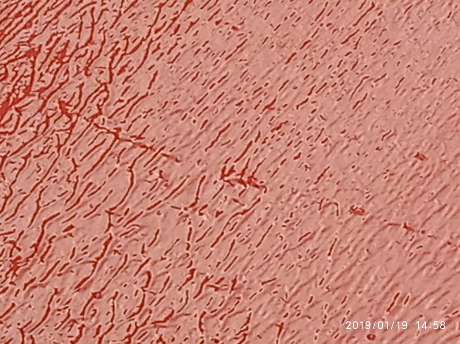 areglar y impermeabilizar terraza