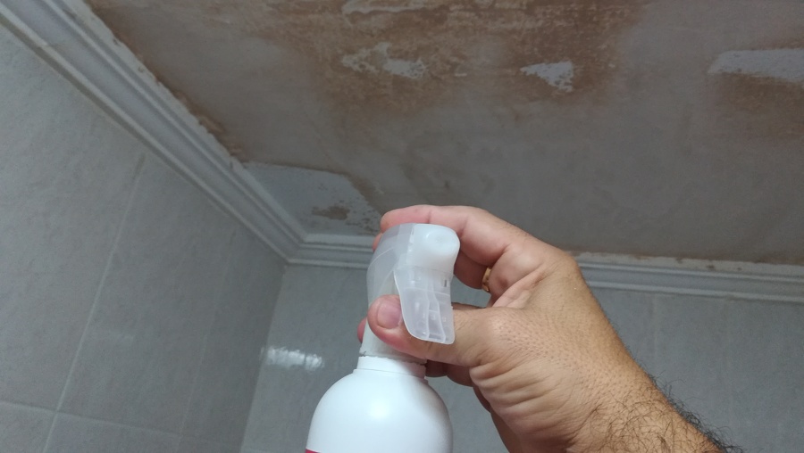 Reparación techo cuarto de baño