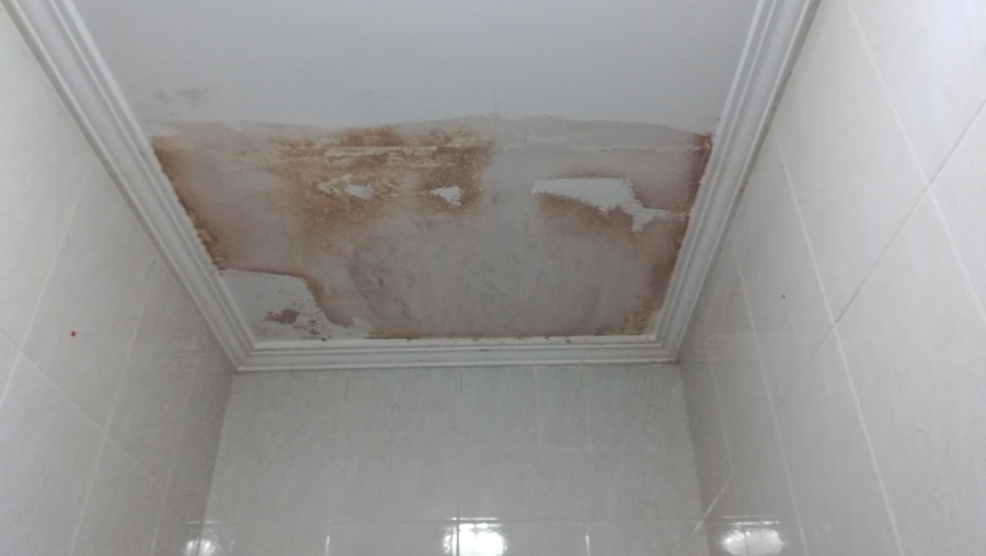 Reparación techo cuarto de baño