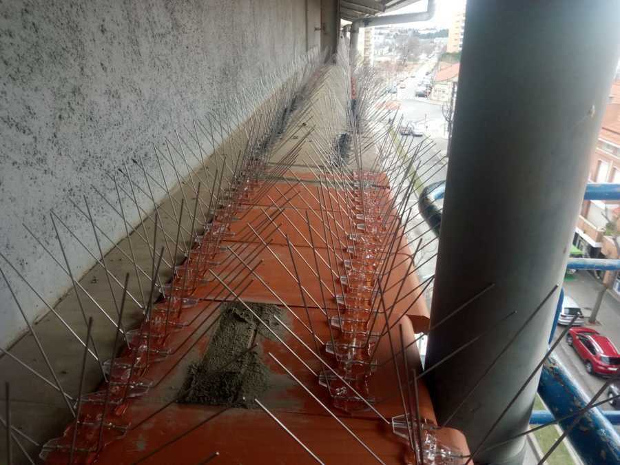 Pinchos control de palomas