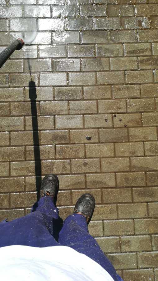 ELIMINACION DE VERDÍN EN ACERADO