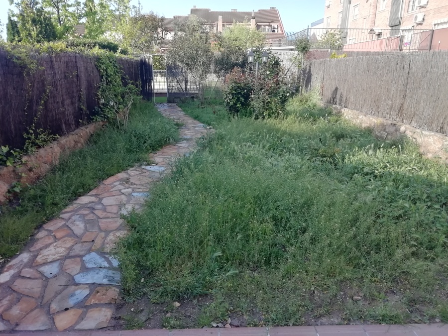 Colocacion de césped natural