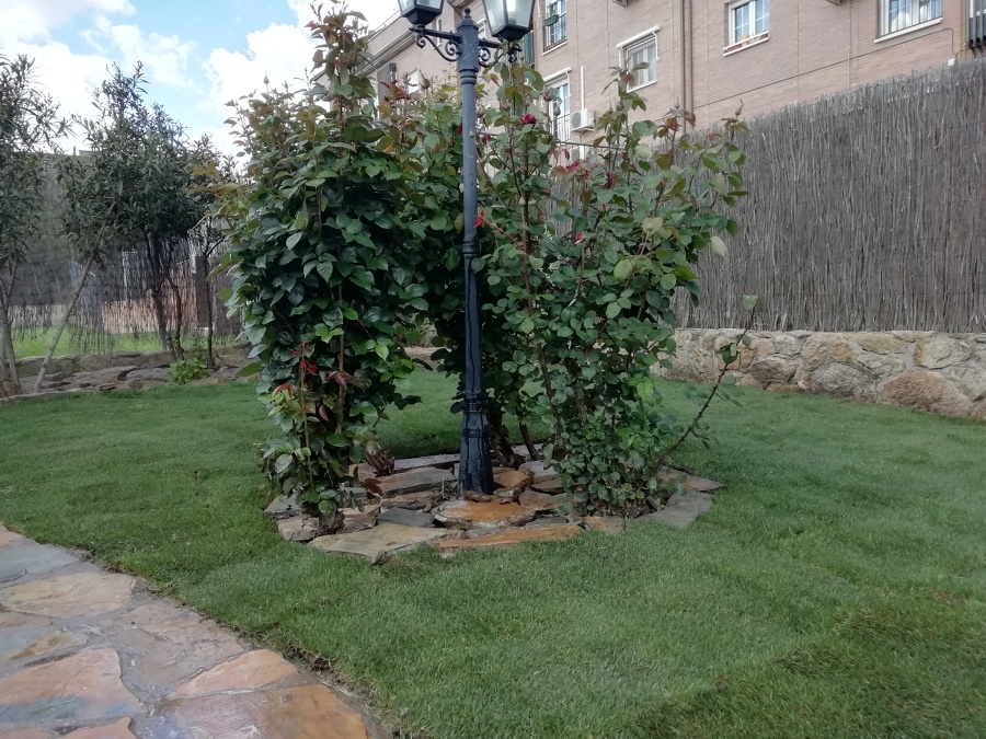 Colocacion de piedra