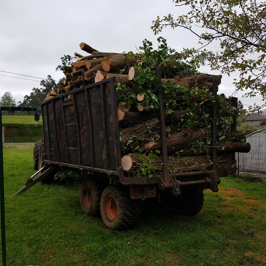 Traztor de leña de salgueiro