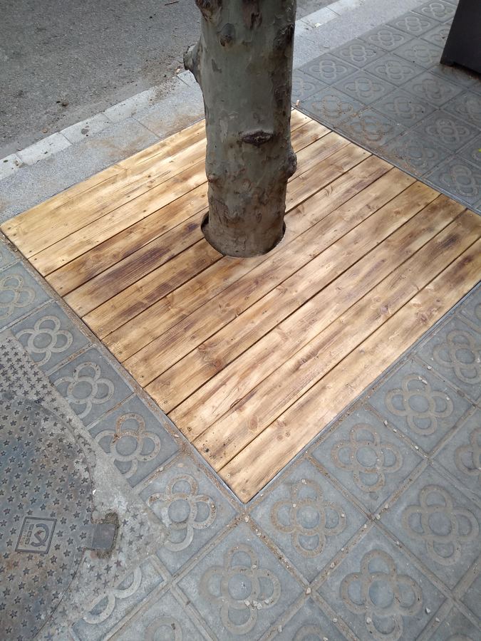 CUBIERTA DE RAIZ DE ARBOL