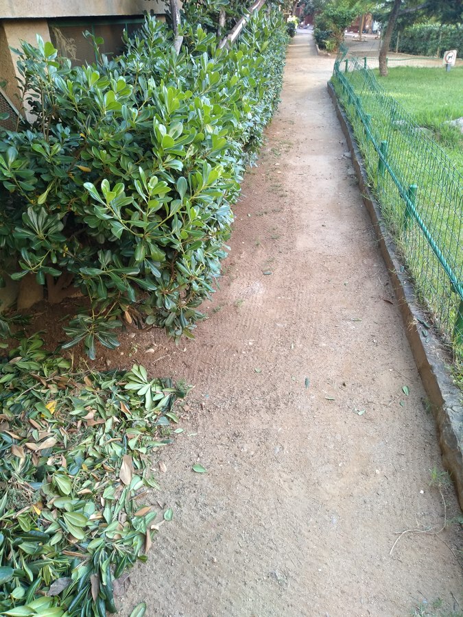 Parques y Jardines de la Comunidad de Vecinos.