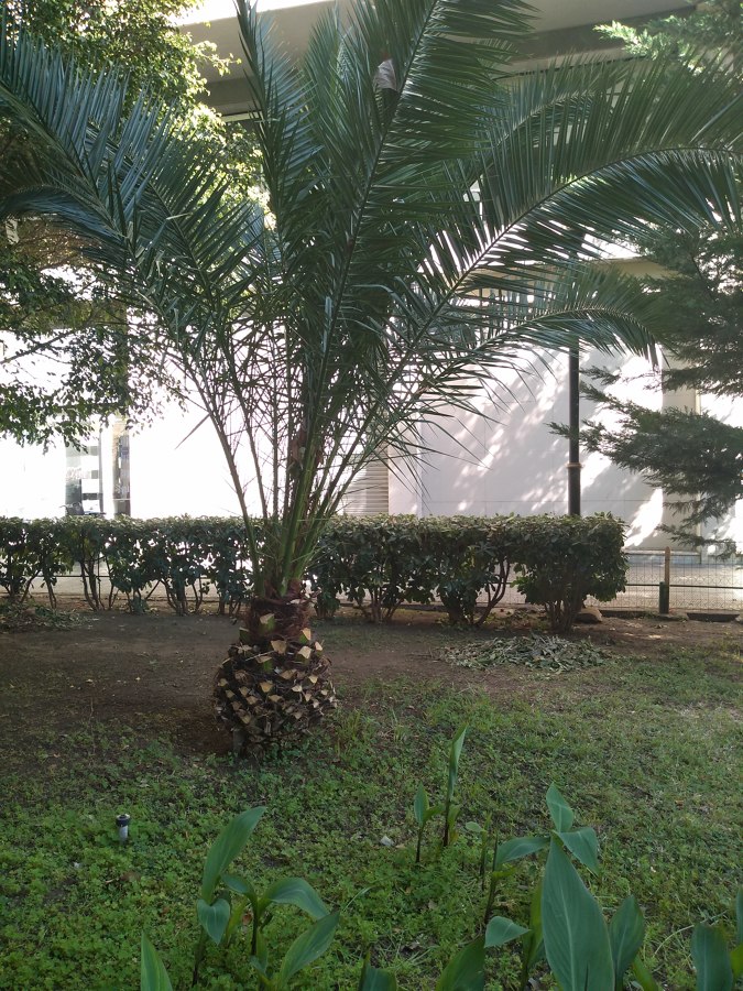 Parques y Jardines Comunidad Vecinos.