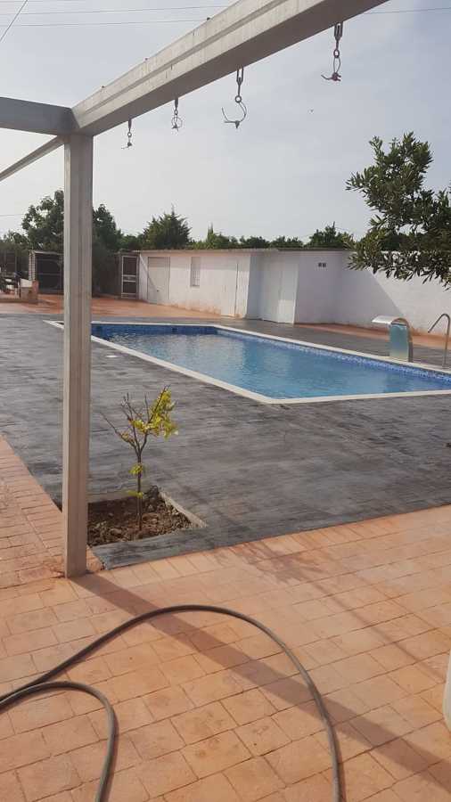 Piscina en vario dibujos y colores