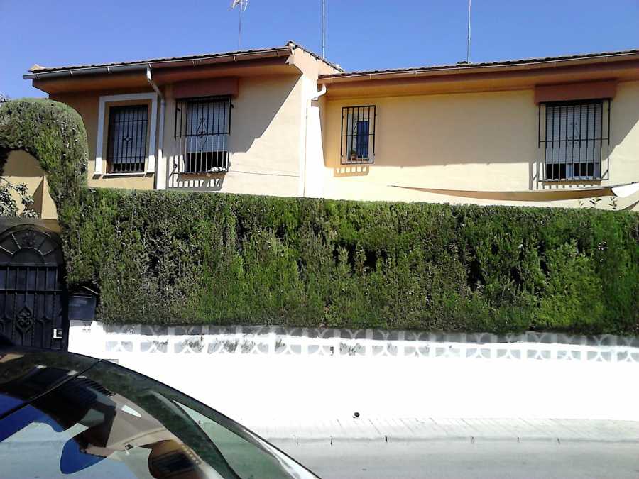 Recorte de seto de ciprés