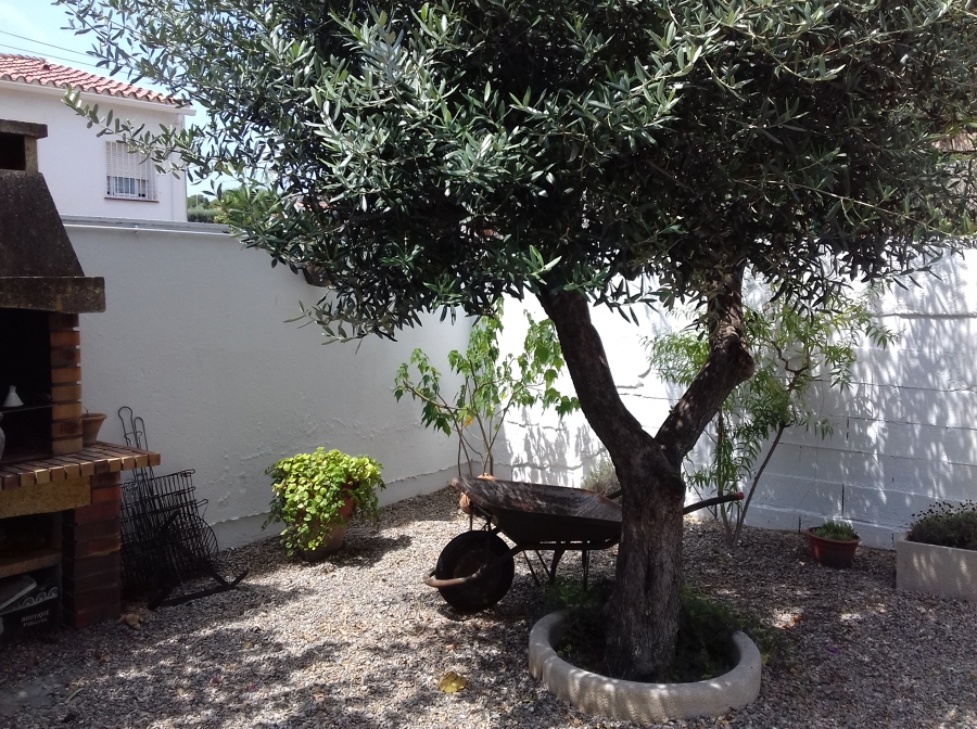 Treball de pintura exterior.