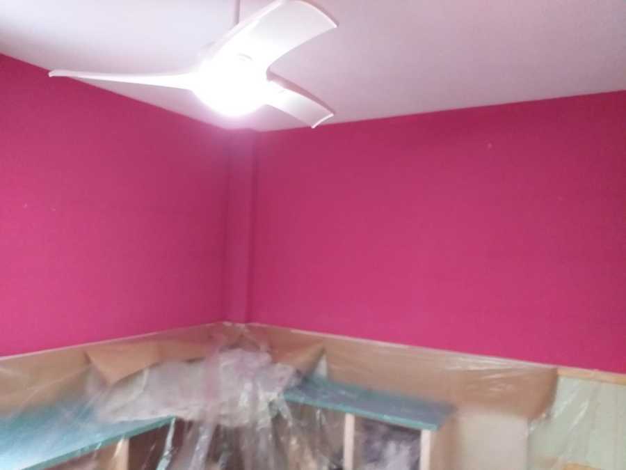 Liso en rosa habitación