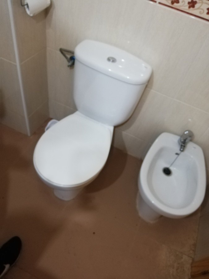 Antes de limpiar baño