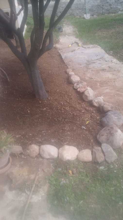 Camino piedra