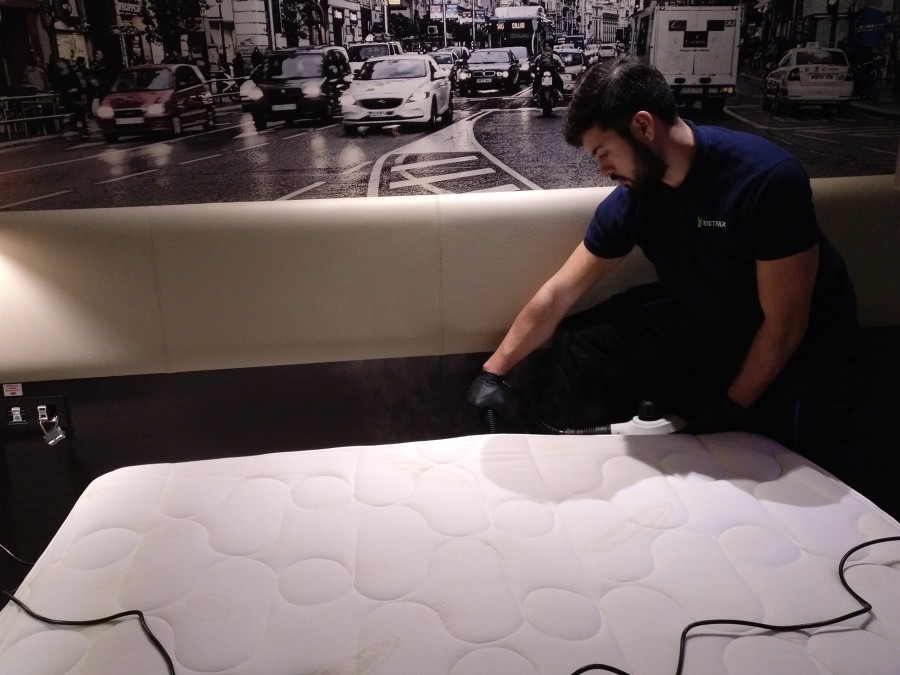 Tratamientos contra chinches