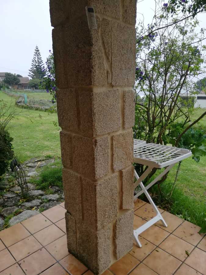 Realización de patio exterior
