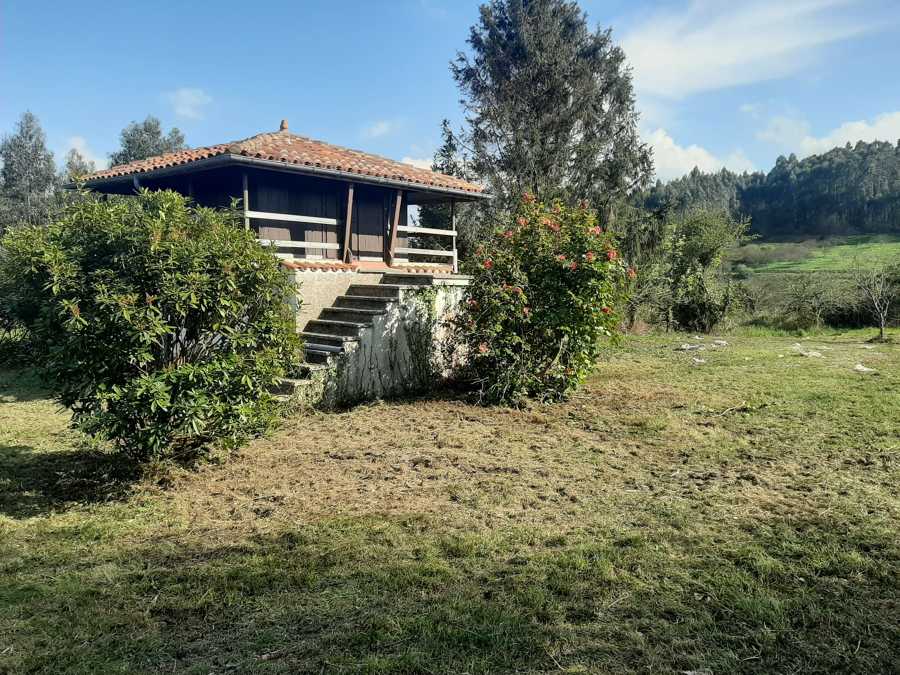 Limpieza de jardines