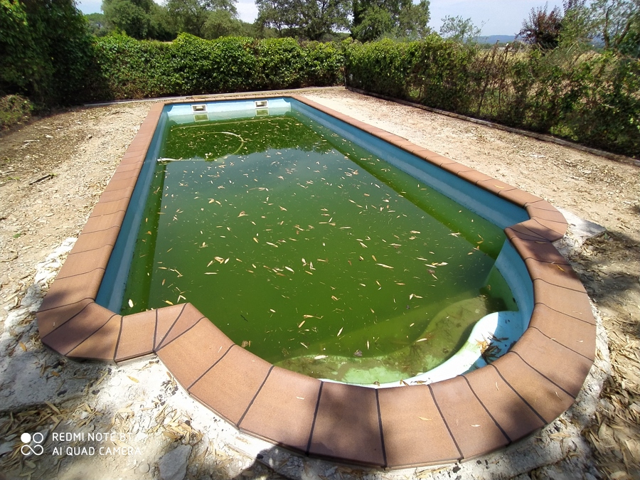 Coronación de piscina con gres Brancós