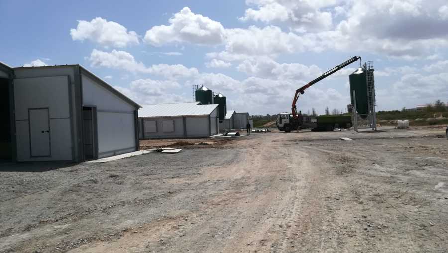 nave criadero industrial animal