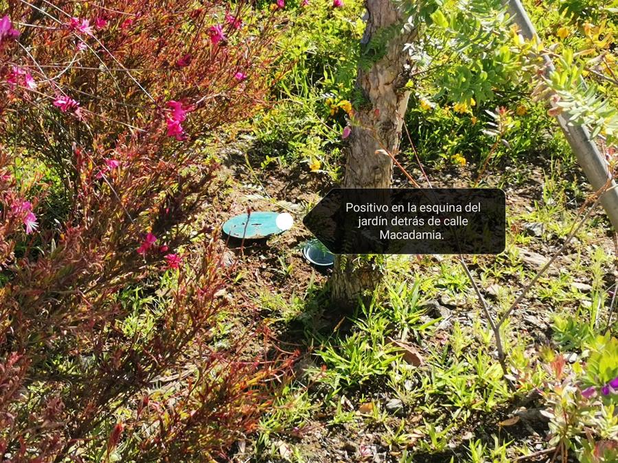 TERMITAS: EJEMPLO DE CEBOS DE EXTERIOR.