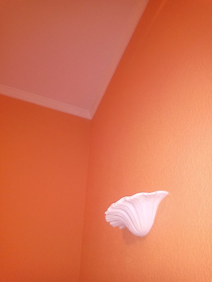 Pintura plástica 100% lavable