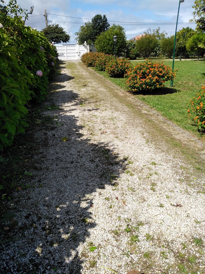 limpieza