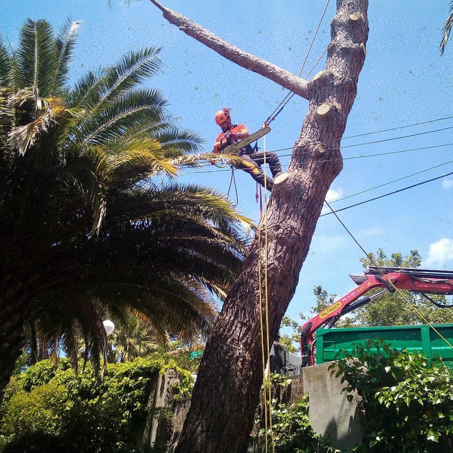 Talas de fácil y difícil acceso