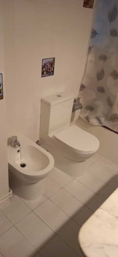 Colocación Wc y bidet.