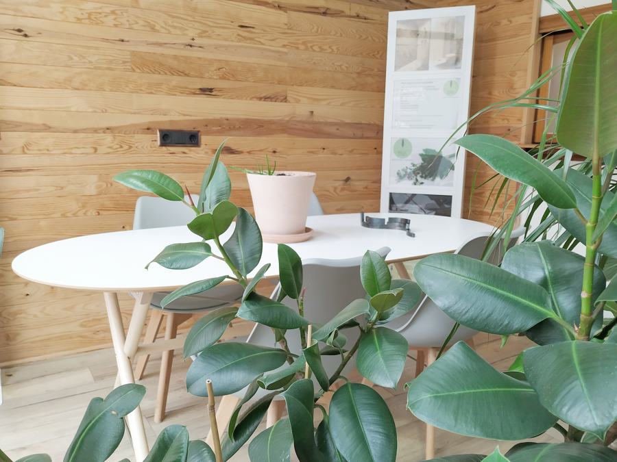 Reforma de nuestra oficina