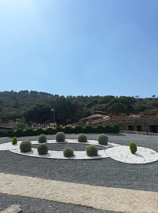 Jardinería y multiservicios