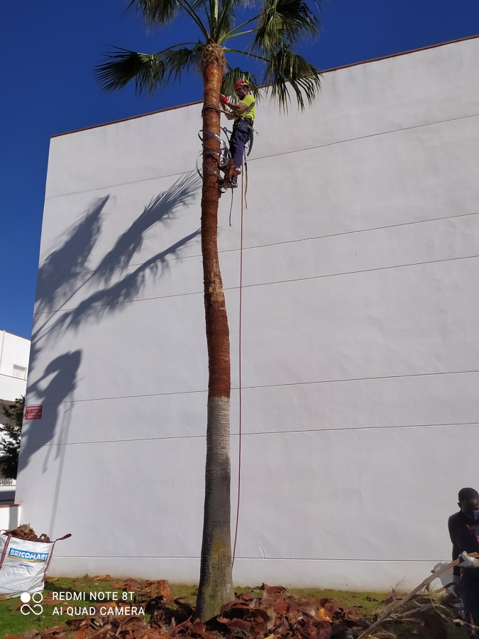 Poda con bicicleta para no causar daño alguno