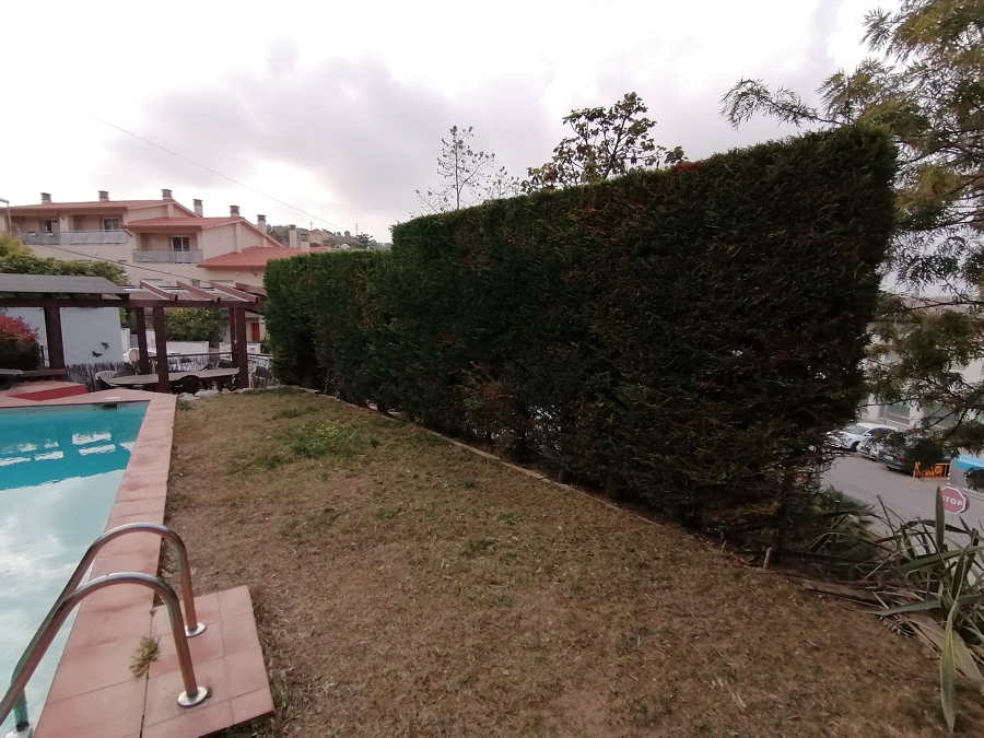 Puesta apunto jardín en Sitges