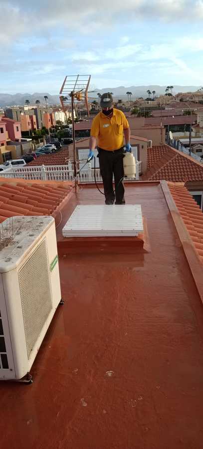 Limpieza y desinfección