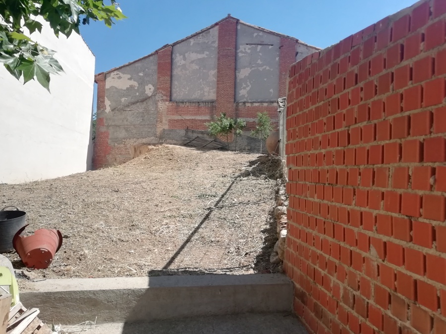 Desbroce de parcela,tala de árboles y limpieza