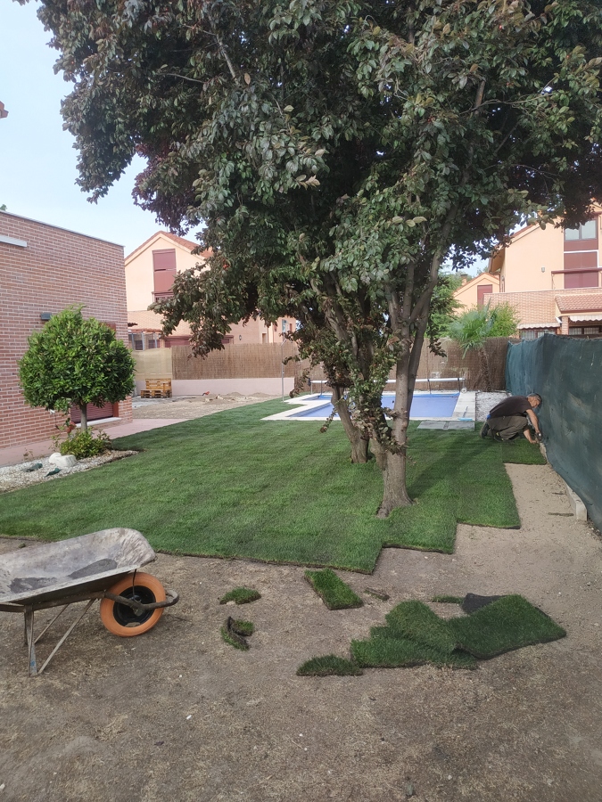 Creación de jardín en tepe