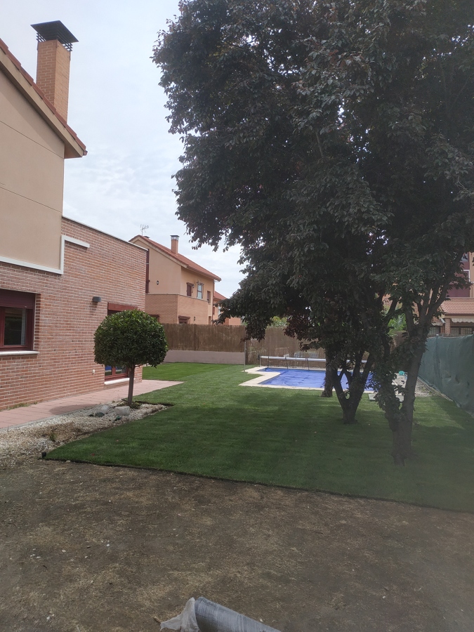 Creación de jardín césped natural