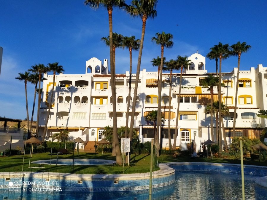 Poda de Palmeras. En comunidad de vecinos