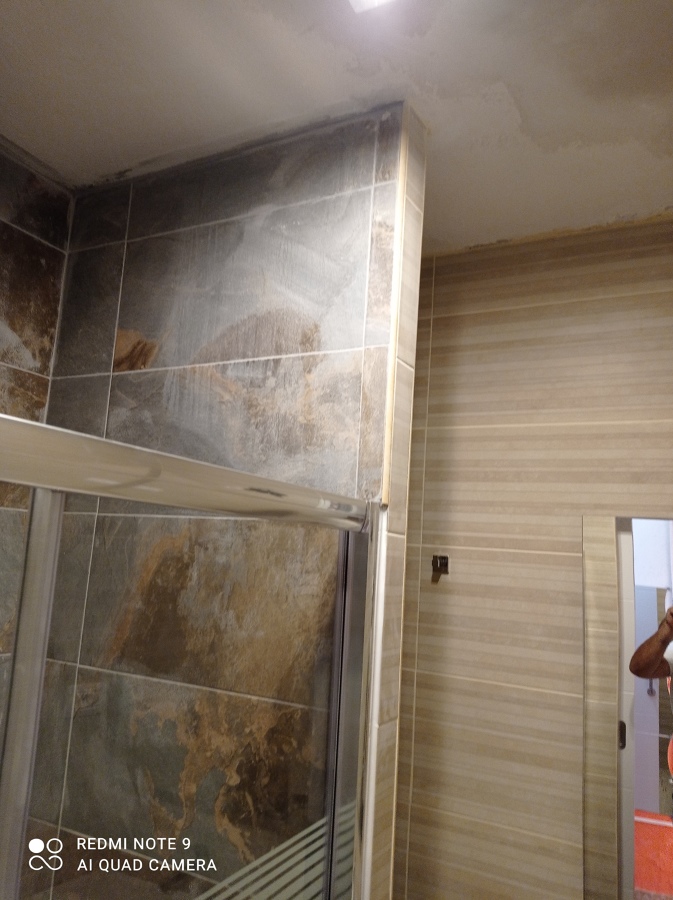 Mampara de baño