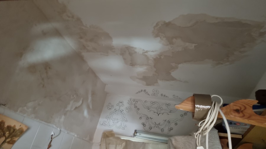 Techo de baño antes de reparar