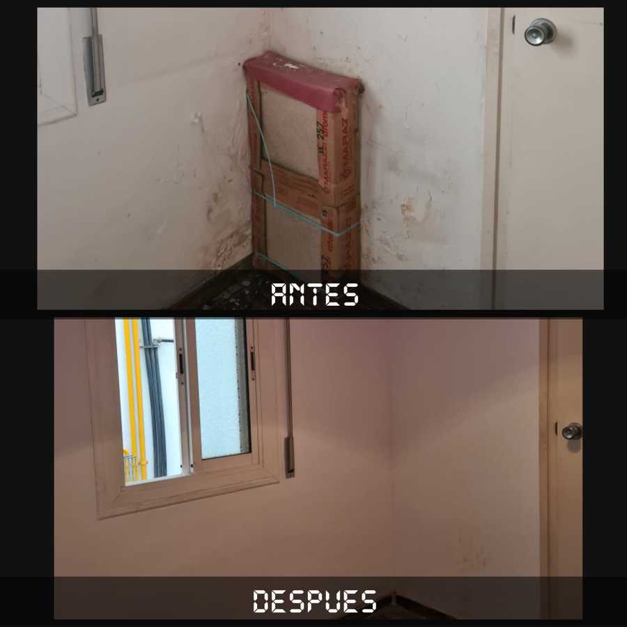 Reparación humedad