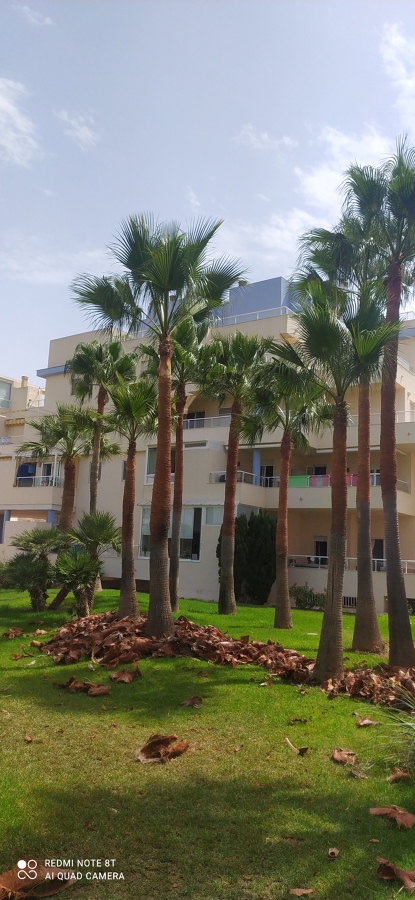 Afeitado de troncos en comunidad de vecinos