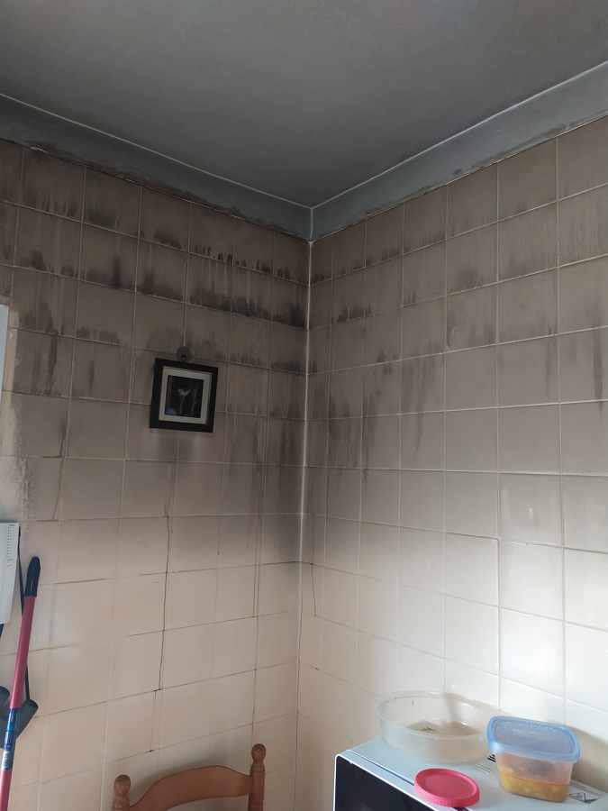 Antes de limpieza por INCENDIO