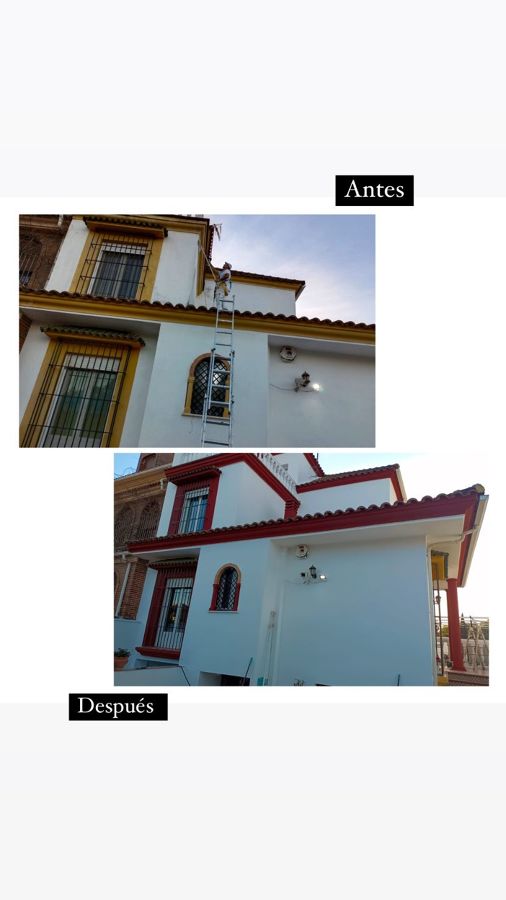 Pinturas el faro