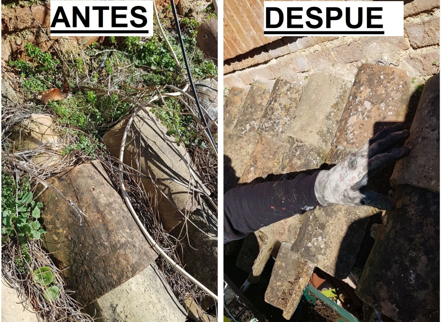 limpieza de tejados y canalones a profundidad