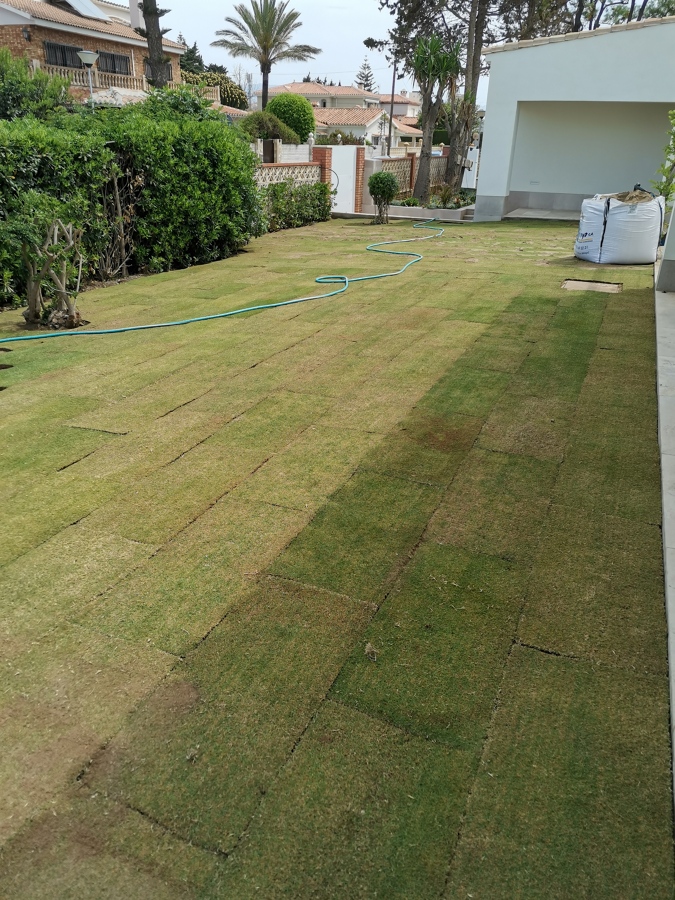 Instalación de césped natural