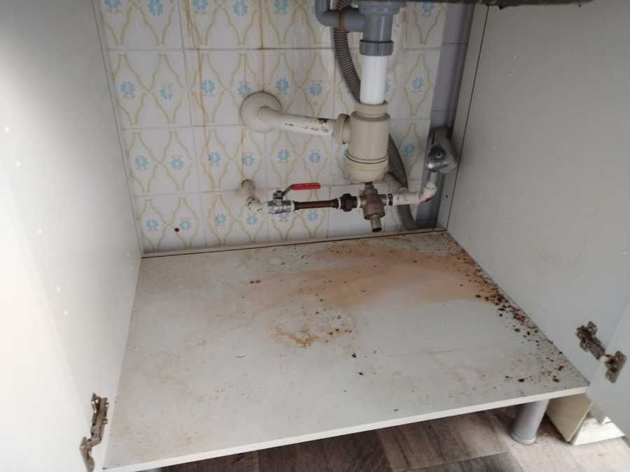 Limpieza de armarios de cocina y nevera