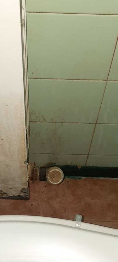 Limpieza baño (antes)