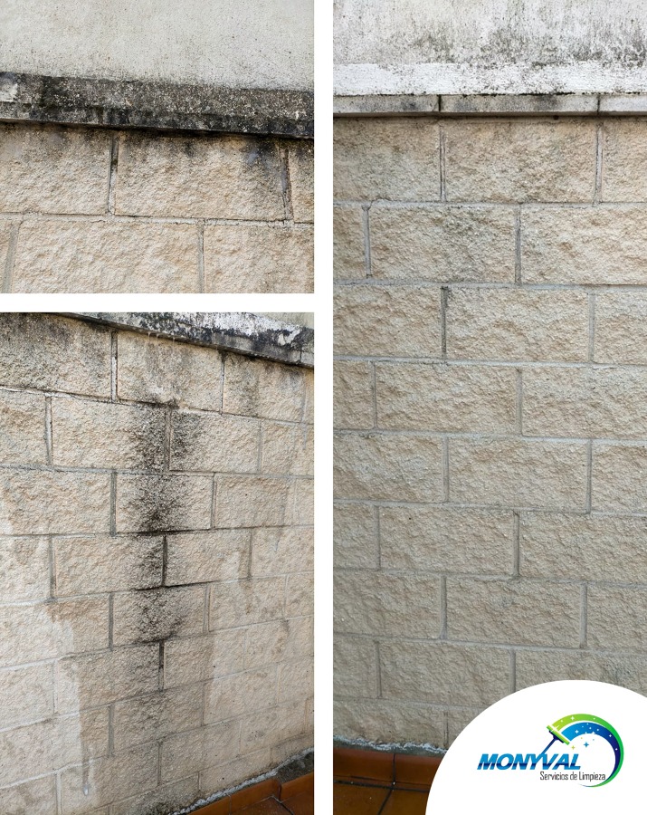 LIMPIEZA DE PARED DE PATIO