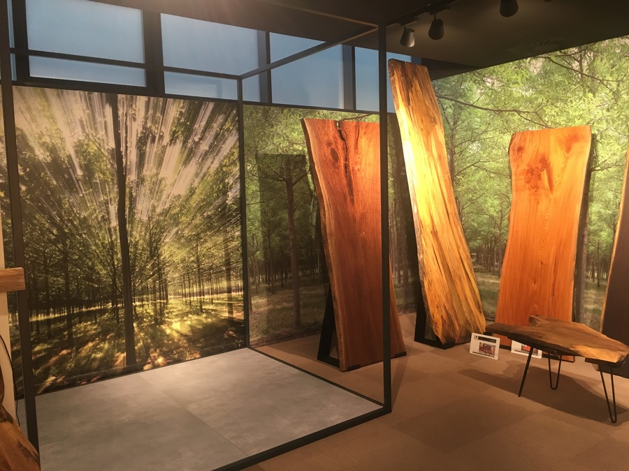 vinilos impresos pared-suelo-cristales