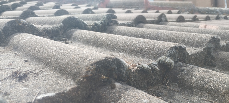 Limpieza de cubierta